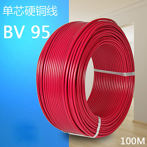 BV95