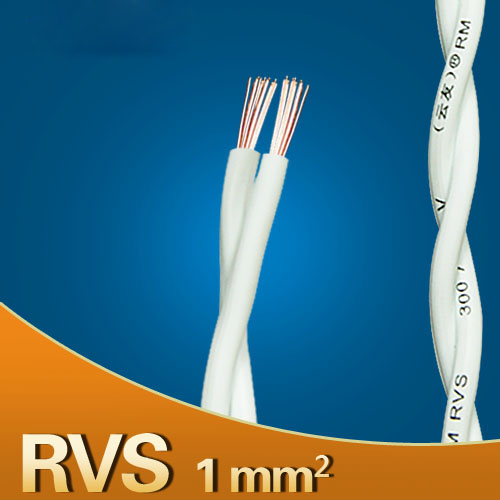 RVS1