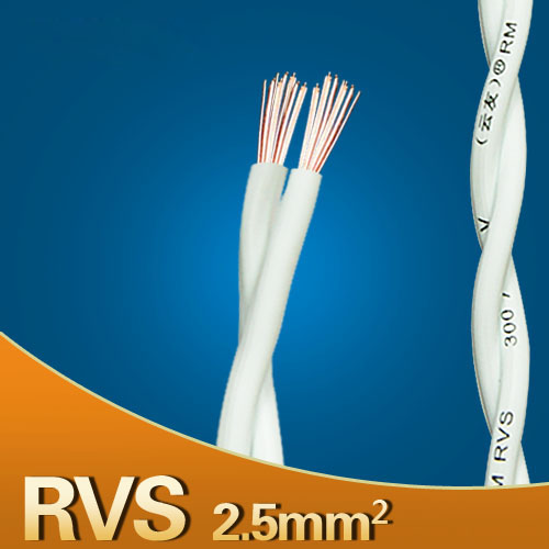 RVS2.5