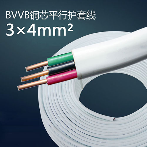 BVVB3芯4平方
