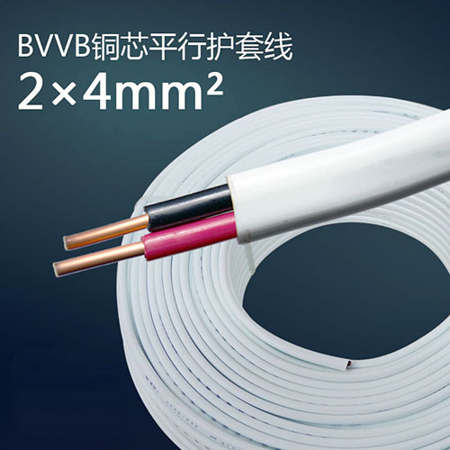 BVVB2芯4平方
