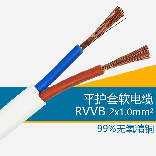 RVVB1